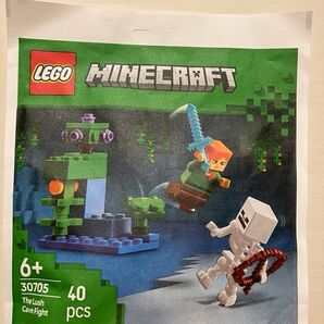 LEGO正規品 マインクラフト30705洞窟のアレックスとスケルトン