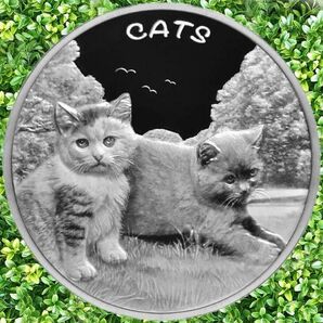 ☆入手困難!美品!2024年 新品 Catsシリーズ第3弾『森の奥の草むらで遊ぶ2匹の子猫』 1 オンス 銀貨 ラミネート保護入