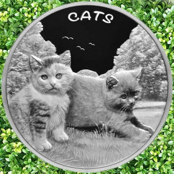 ☆入手困難!美品! 2024年 新品 Catsシリーズ『森の奥の草むらで遊ぶ2匹の子猫』 1 オンス 銀貨 ラミネート保護