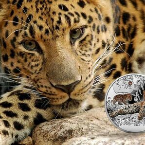 ☆希少!限定2015枚 『 アムールヒョウ』 2015年 17.5g 銀貨「スワロフスキークリスタル」装飾 純銀 保証書&BOX付