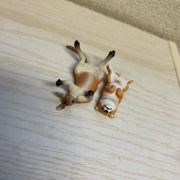 zoozoozoo のんきだ寝 第4弾 パンダの穴 ガチャガチャ カプセルトイ