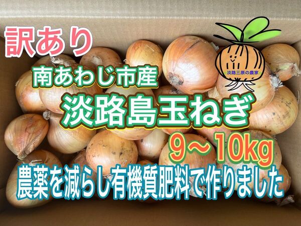 【10】淡路島玉ねぎ 南あわじ市産 訳あり 9〜10kg