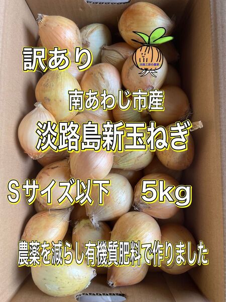 【S】淡路島 新玉ねぎ 南あわじ市産 訳あり Sサイズ以下5kg