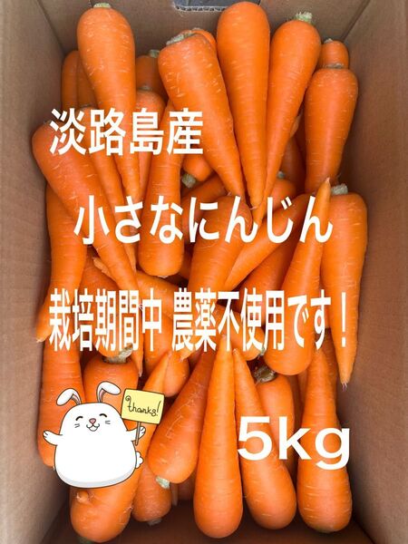 【人5】淡路島産 小さな人参 にんじん 5kg