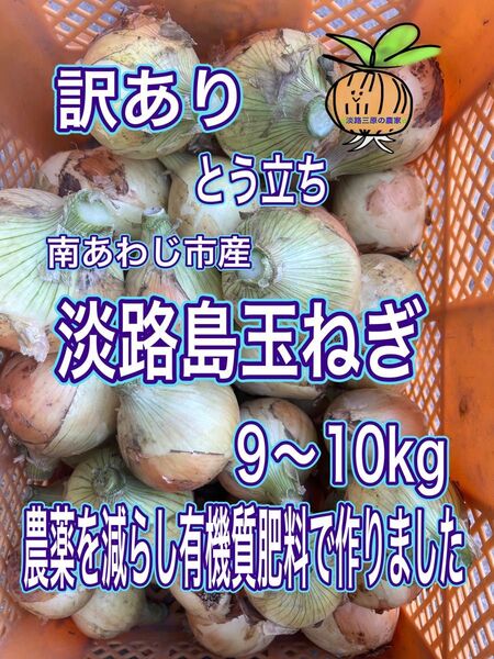 【立10】淡路島玉ねぎ 南あわじ市産 訳あり(とう立ち)9〜10kg