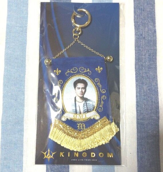 三代目J SOUL BROTHERS 登坂広臣 KINGDOM ビジュアルミニタペストリー