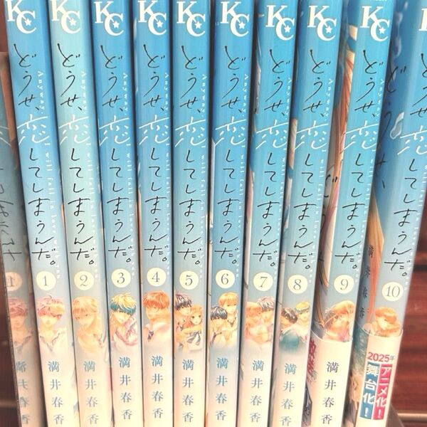 どうせ恋してしまうんだ 1-10巻 全巻 漫画 全巻セット