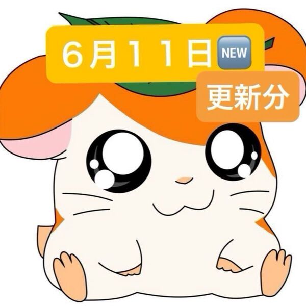 6月11日更新商品