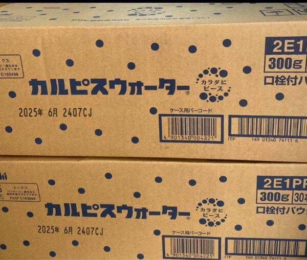 カルピスウォーター パウチ 300g 30本×2ケース