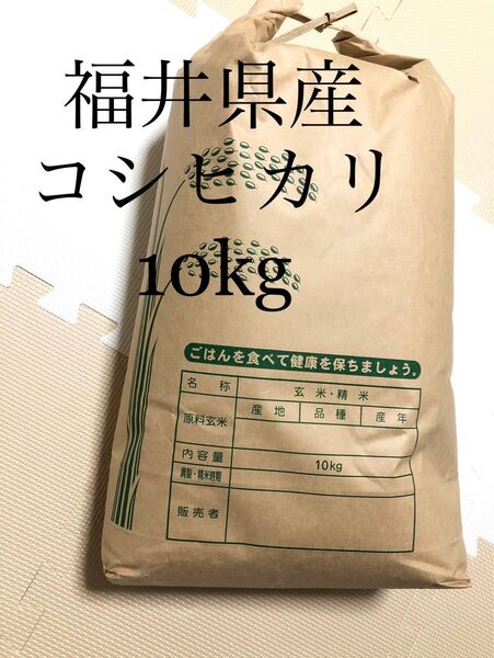 コシヒカリ 福井県産米 精米済み 10kg