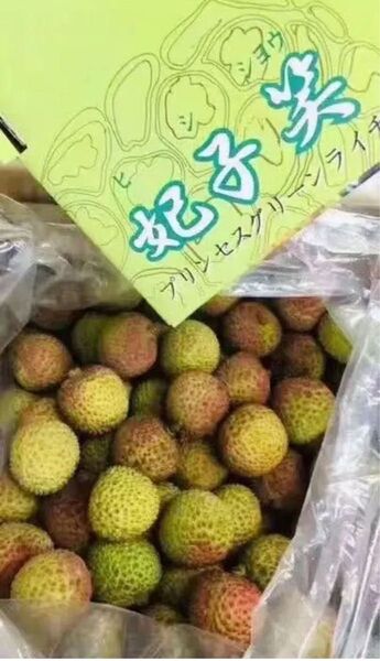 中国海南省産 生ライチ グリーンライチ 妃子笑 枝 1kg