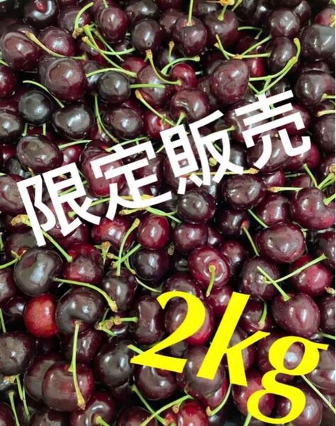 安心コンパクト便でお届け〜 箱込み2kg 新鮮チェリーアメリカンチェリー チェリー さくらんぼ 贈り物 お歳暮 お中元 土産