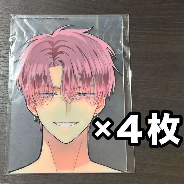 花とゆめ 13号 付録 ふろく 非売品 特典 描きおろし 多聞くん生誕記念★なりきり下敷き 多聞くん今どっち!? 師走ゆき