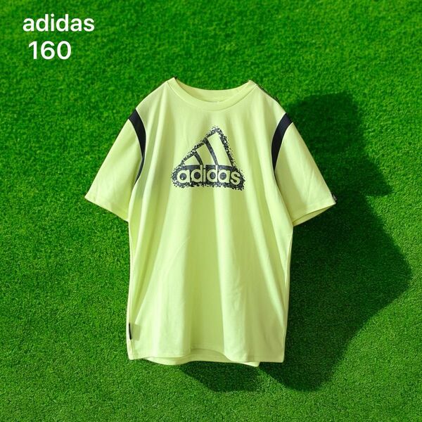 未使用品 アディダス メッシュ Tシャツ (160) 黄緑 トップス スポーツ アウトドア adidas トレーニングウェア 半袖