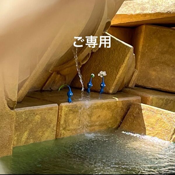 ご専用
