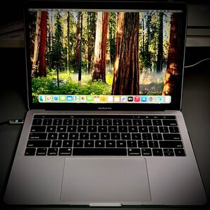MacBook Pro 2018 16GB 256GB