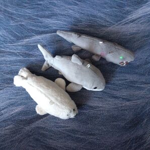 ラブカ サメ あざらし ぬいぐるみ 3体セット