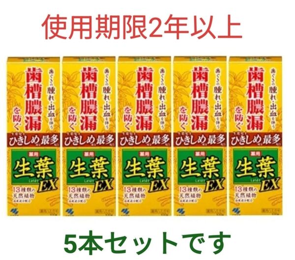 【使用期限2年以上】小林製薬 生葉EX100 g×5本セット 虫歯予防 歯周病予防 ホワイトニング 口臭対策 ハーブ系