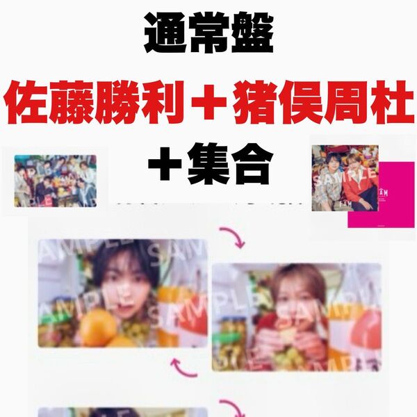 timelesz FAM アルバム 通常盤 トレカ・アナザージャケット 佐藤勝利+猪俣周杜