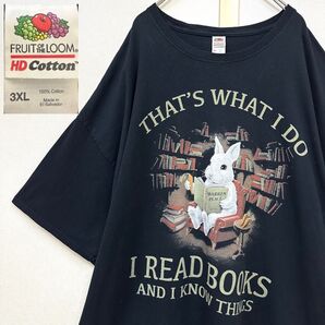 フルーツオブザルーム(Fruit of the Loom)I READ BOOKSアニマルうさぎ Rabbit Tシャツ