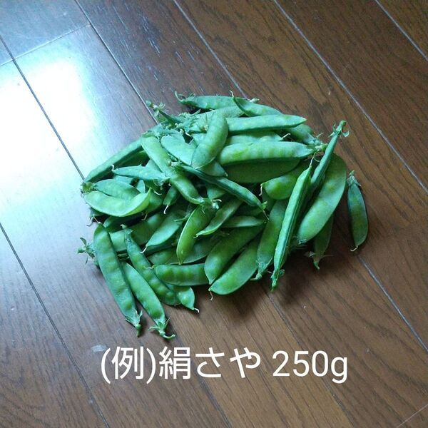絹さや サヤエンドウ250g 購入いただいてから収穫 ゆうパケットmini封筒にて発送します