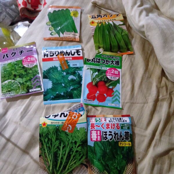 7個セット 野菜の種 パクチー オクラ しそ 大根 ほうれん草 サラダ菜