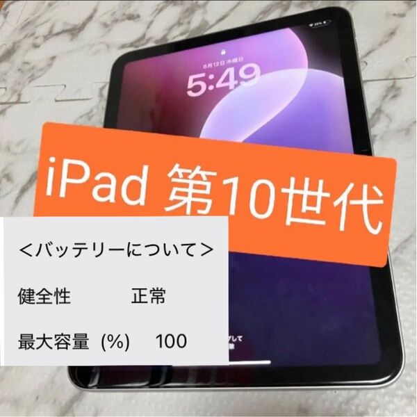 最大容量100% iPad 2022 10.9インチ (第10世代) Wi-Fiモデル 64GB シルバー