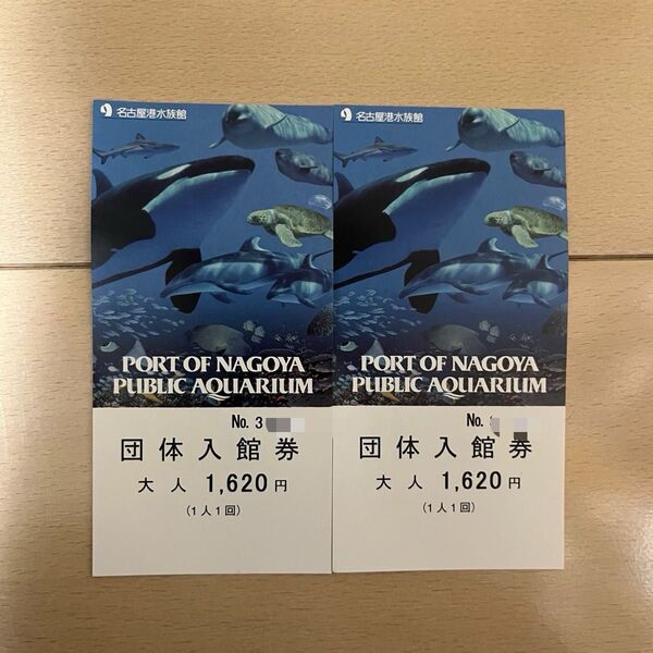 名古屋港水族館 入場券 2枚