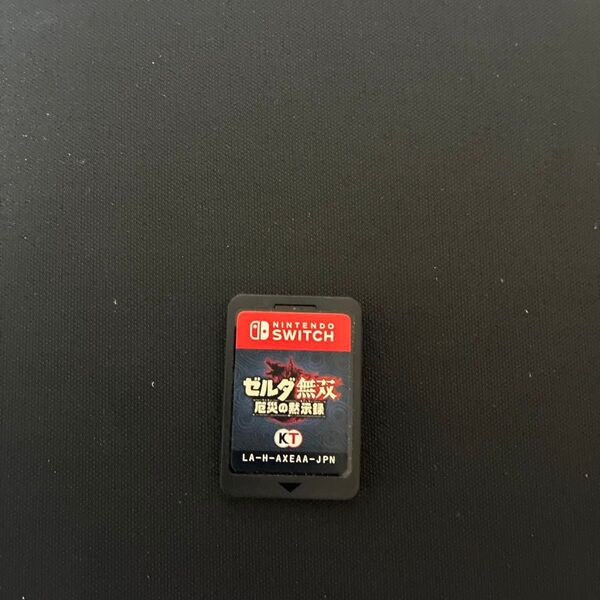 Nintendo Switch ゼルダ無双災厄の黙示録 ソフトのみ