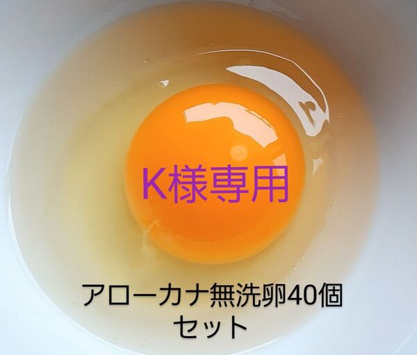 放し飼いアローカナ無洗卵40個セット