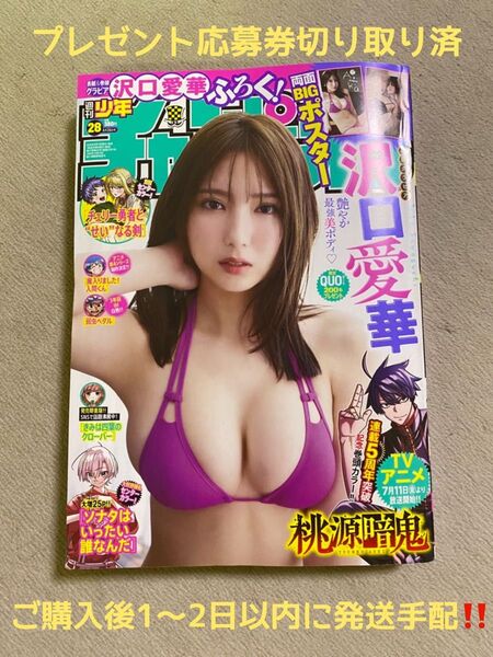 週刊少年チャンピオン 2025.No.28 沢口愛華 両面BIGポスター付録 プレゼント応募券切り取り済 ⑤