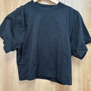 ディニテコリエ tシャツ