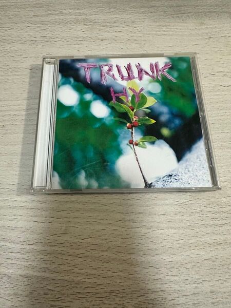 HY TRUNK Spring Version