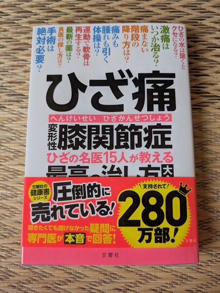 ひざ痛 変形性膝関節症 ひざの名医15人が教える最高の治し方大全 (健康実用)