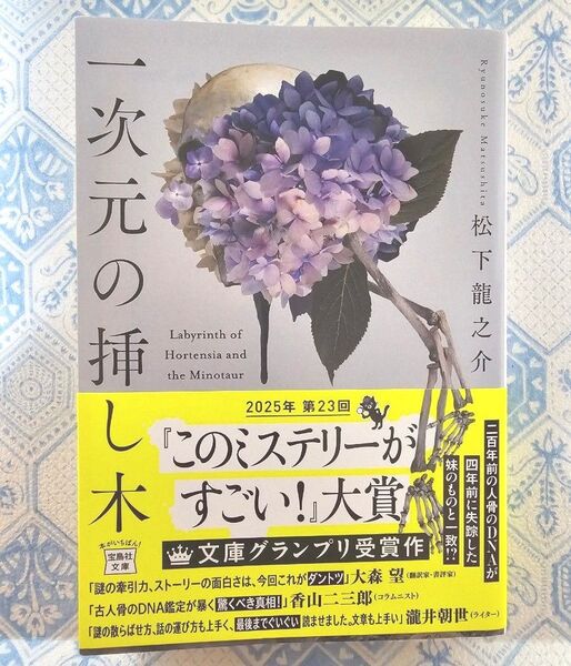 【美品】一次元の挿し木 松下龍之介著 帯付き