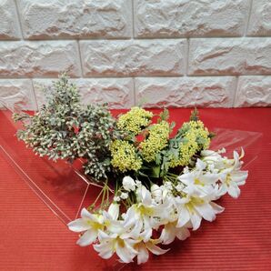 イ−スタリリーその他Bタイプ