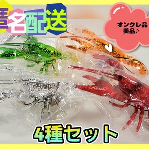 生物図鑑 キッズシリーズ リアル ザリガニ 6 4点セット (新品未使用)オンクレ品♪