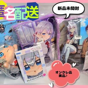 時々ボソッとロシア語でデレる隣のアーリャさん アートクッション バスタオル 寝そべりぬいぐるみ 5点セット (新品タグ付き)
