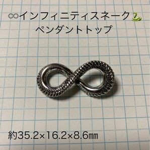 インフィニティスネークペンダントトップ