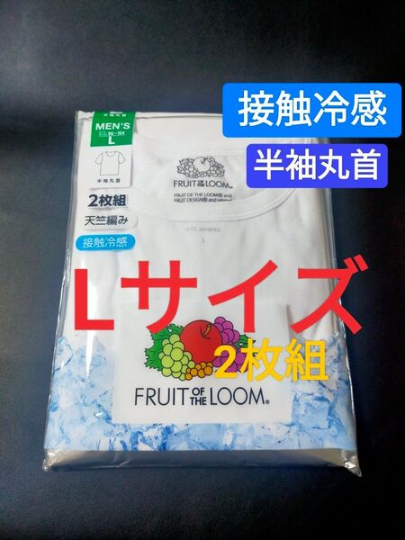 Lサイズ !2枚組 インナー Tシャツ FRUIT OF THE LOOM 肌着 下着 紳士 【接触冷感】 天竺編み 半袖丸首
