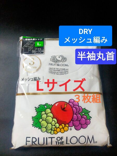 Lサイズ !3枚組 インナー Tシャツ FRUIT OF THE LOOM 肌着 下着 紳士 【メッシュ編み】半袖丸首 白無地