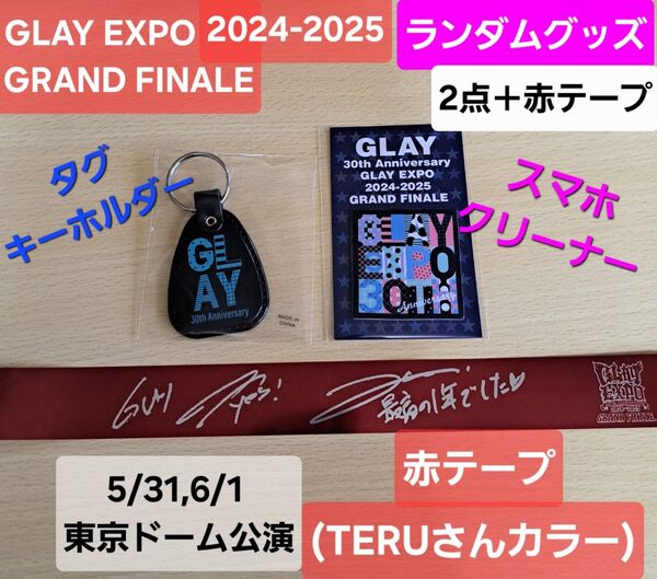 オマケ付き★ GLAY EXPO GRAND FINALE ランダム グッズ タグキーホルダー キーホルダー スマホクリーナー