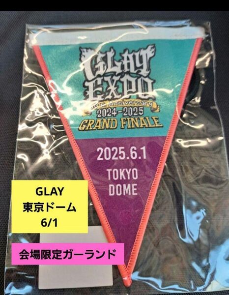 限定☆オマケ付き GLAY 東京ドーム 2日目 6/1 ガーランド バッジ グッズ