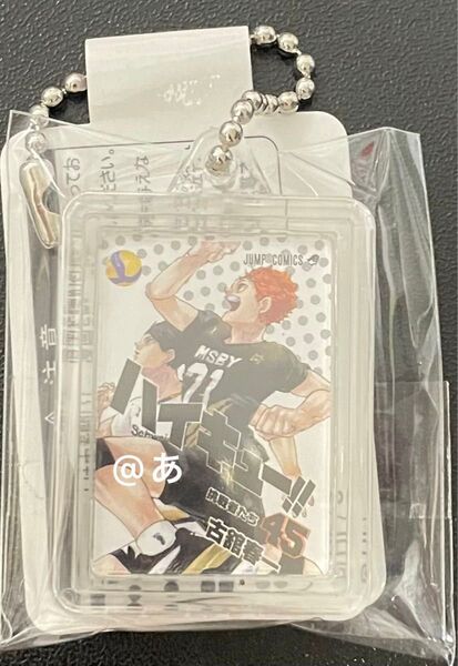 ハイキュー コミック チャーム キーホルダー 45巻 日向 影山