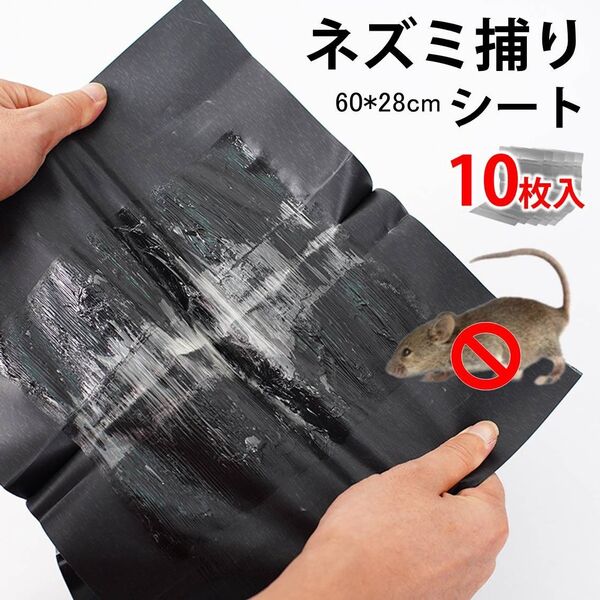 ネズミ捕りシート 10枚入 60×28cm 強力粘着 ネズミ駆除 フィルム 黒色 シート 折りたたみ 収納可 簡単 設置 回収