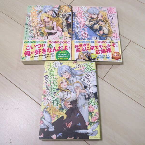 家から逃げ出したい私が、うっかり憧れの大魔法使い様を買ってしまったら
