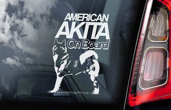 ◆アメリカン・アキタ 秋田犬 ② 外張り カーステッカー 150 X100mm◆スモークウインドウに映える!