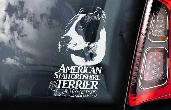 ◆アメリカン・スタッフォードシャー・テリア ⑬外張り カーステッカー シール 185×100mm◆スモークウインドウに映える!