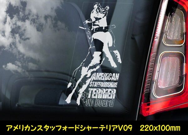 ◆アメリカン・スタッフォードシャー・テリア ⑨外張り カーステッカー シール 220×100mm◆スモークウインドウに映える!