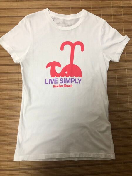 パタゴニア オーガニックコットンTシャツ Tシャツ 半袖Tシャツ 白